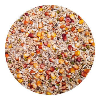 VANROBAEYS - Nr 28 - SPEED PRO - REVOLUTION - 20kg